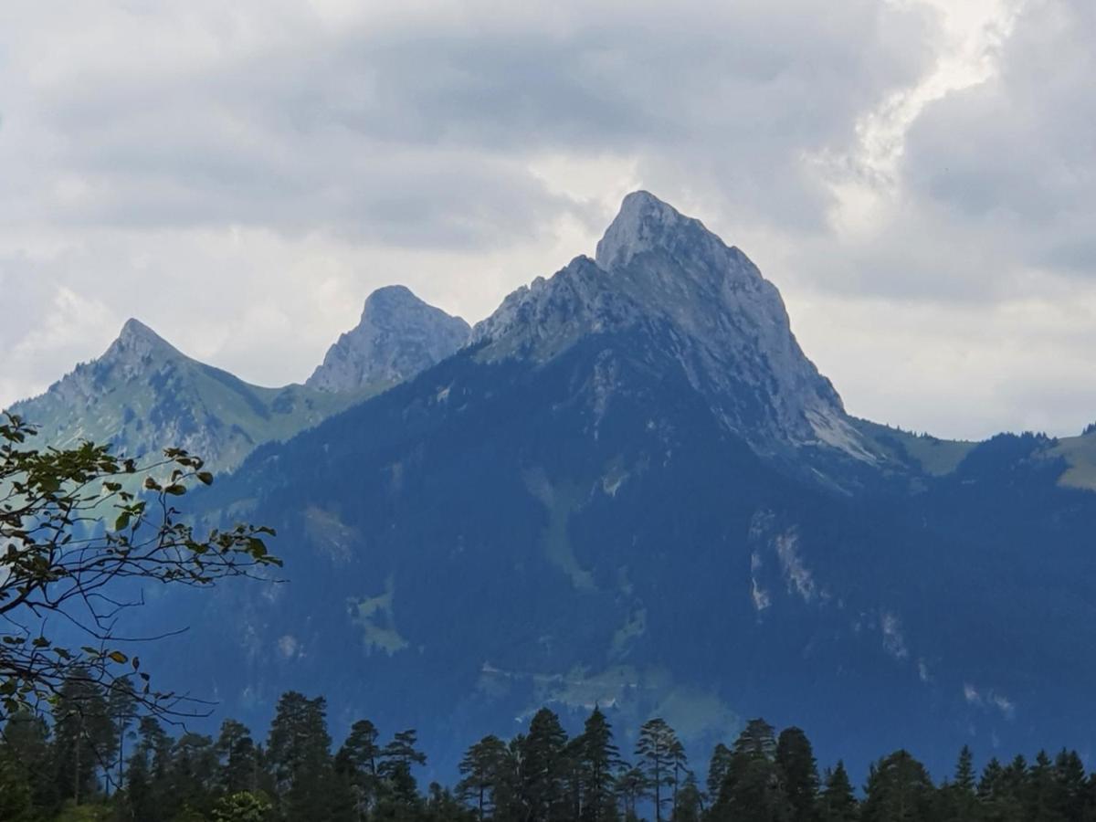 Ferienwohnung Tiroler Auszeit & Whirlpool Höfen 外观 照片